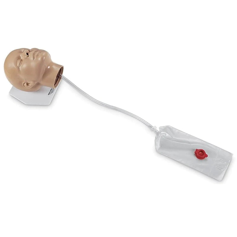 NG Tube Insertion Trainer - Medical Nasogastric Feeding Tube Practice Model for Nursing Students & Healthcare Professionals - Perfect for Clinical Training & Simulation Labs