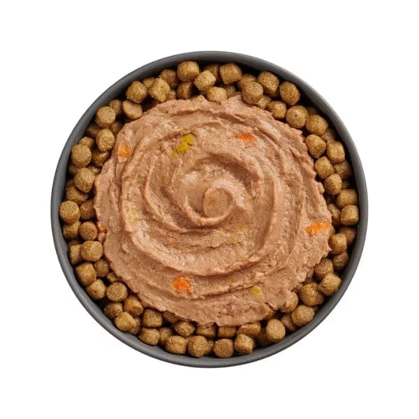 Premium Go! Solutions Booster Brain Health Wet Cat Food - Tuna & Salmon Pate Recipe for Kittens & Adult Cats | Supports Cognitive Function & Immune System | Perfect for Picky Eaters & Senior Cats