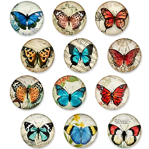 Butterflies