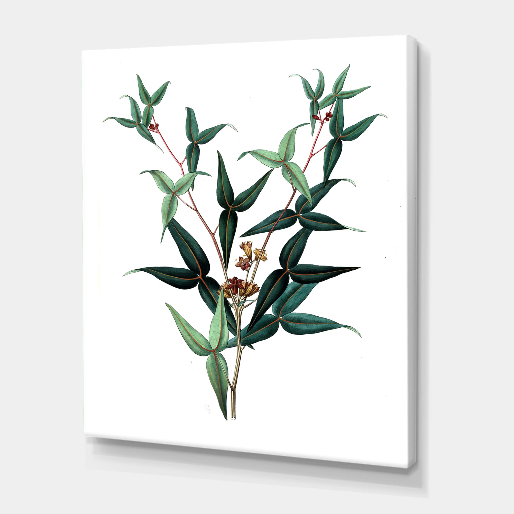 Vintage Green Leaves Plants VIII Traditional Canvas Wall Art - Handmade Home Decor for Living Room, Bedroom & Office - Perfect for Boho & Farmhouse Interior Design