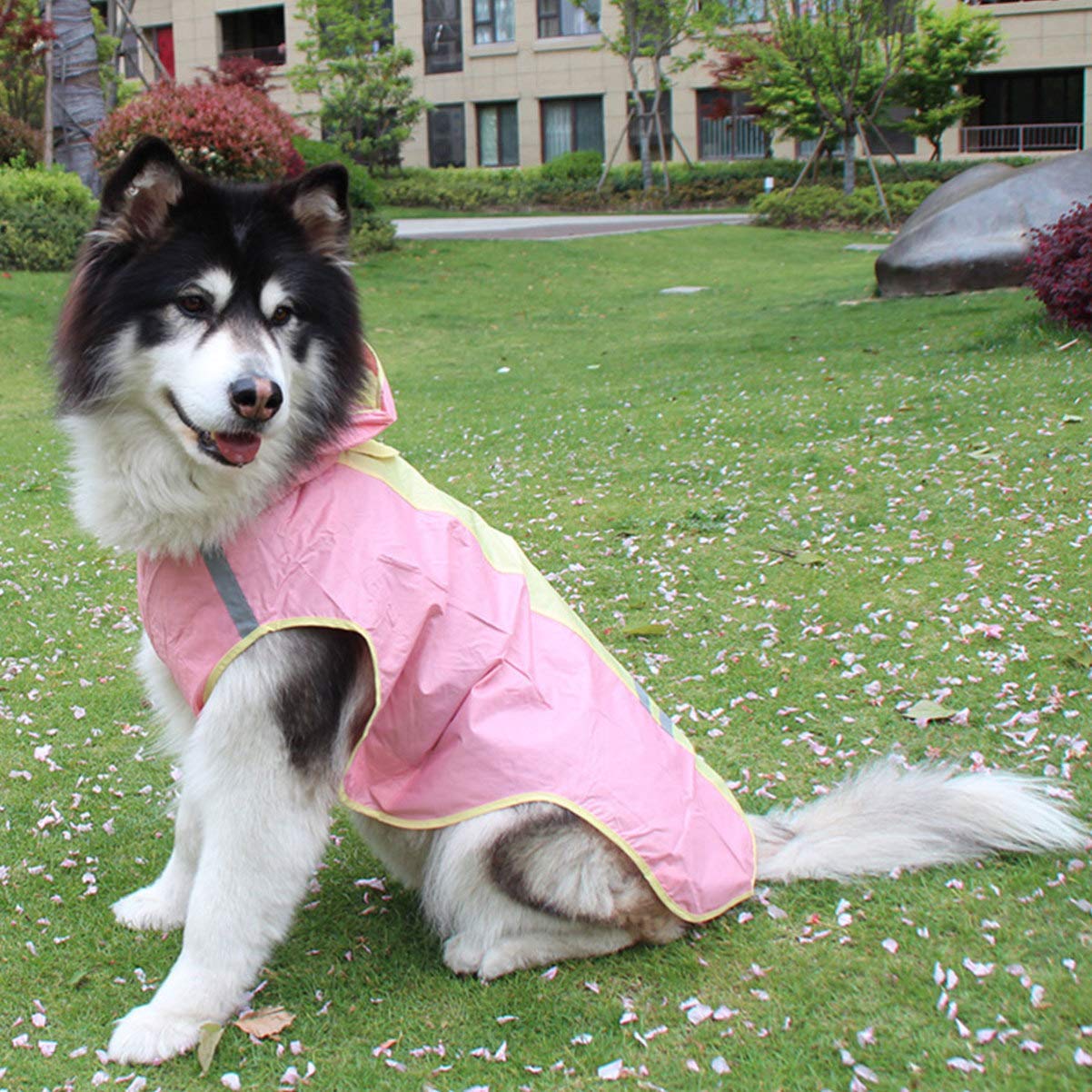 Balacoo Waterproof Dog Raincoat - Reflective Poncho for Greyhounds, Huskies & Puppies | Lightweight Dog Vest for Rainy Day Walks, Outdoor Adventures & Pet Safety