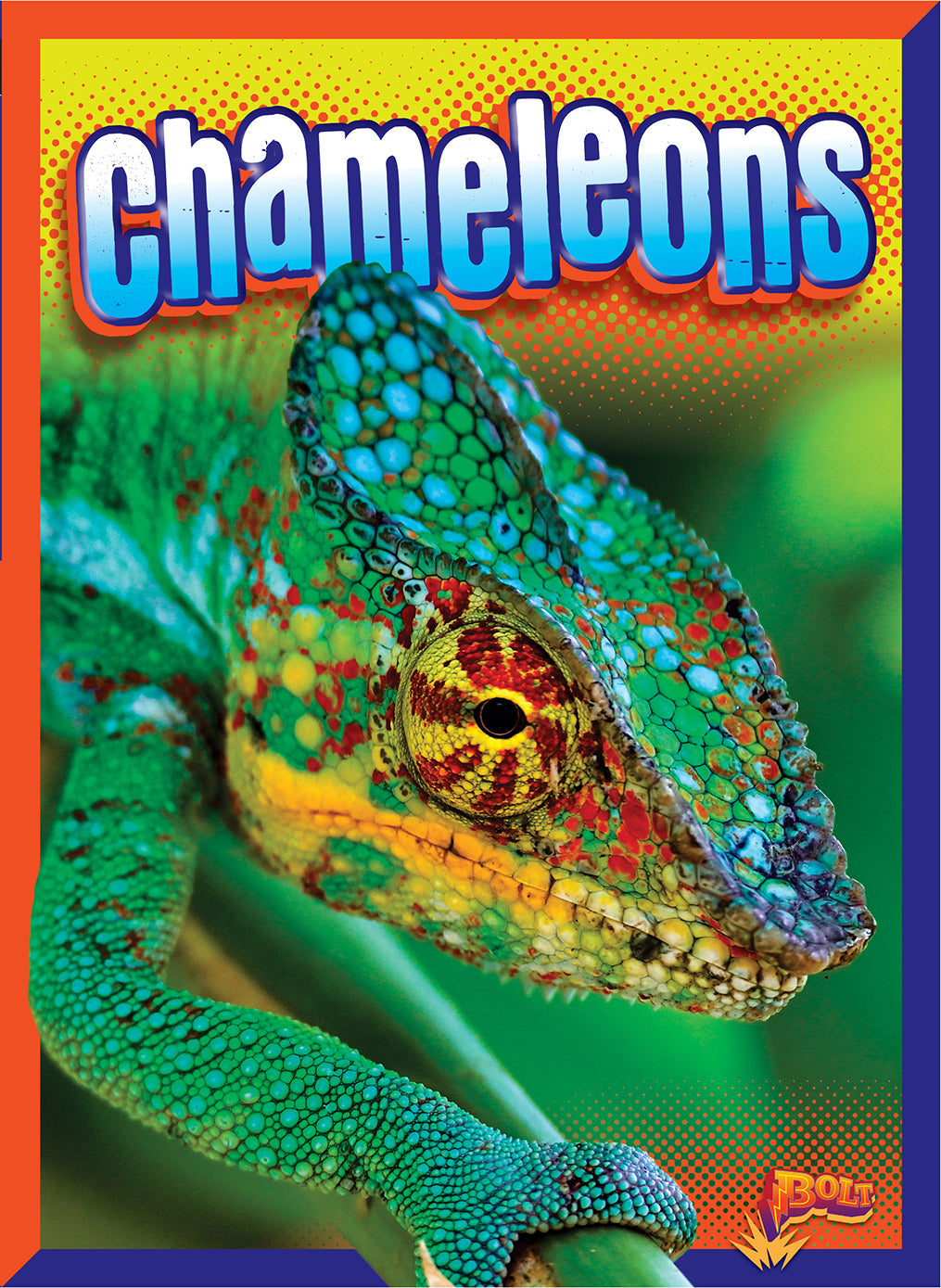 Chameleons Book - 9781623106416 - Learn About Chameleons for Kids & Adults - Perfect for School Projects & Animal Lovers