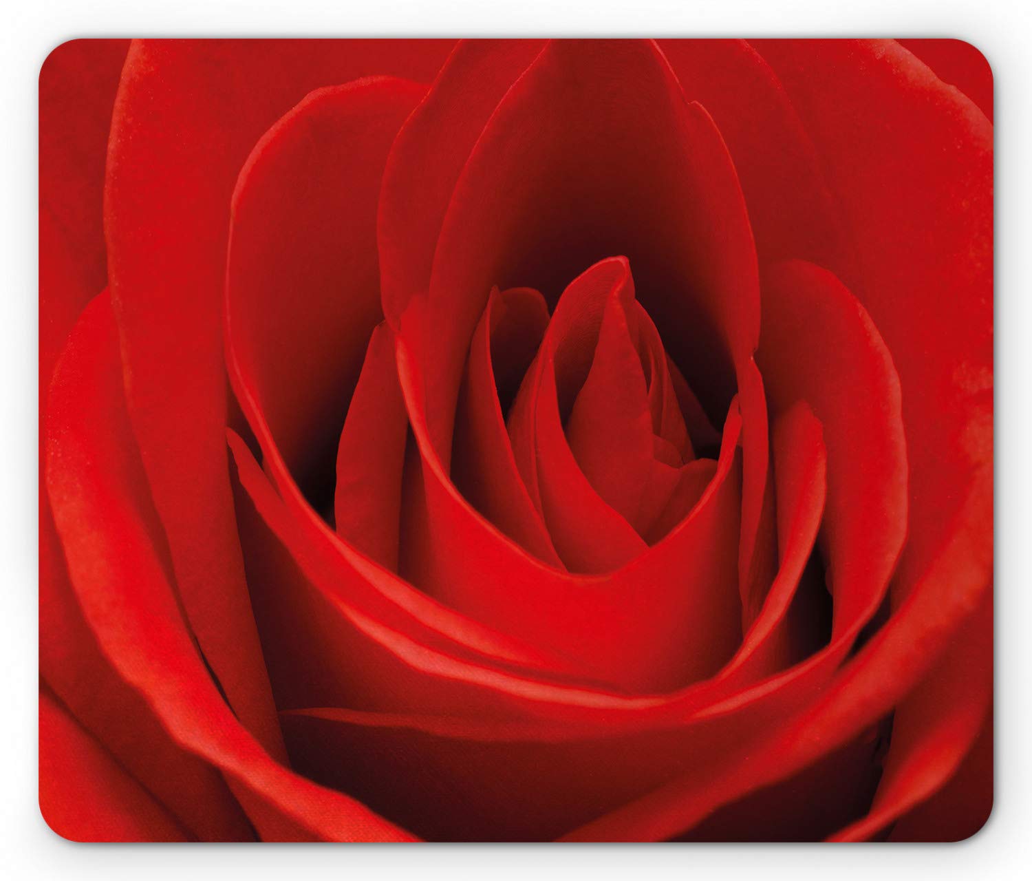 Ambesonne Rose Mouse Pad - Non-Slip Rubber Desk Mat with Macro Red Rose Bloom Design, Valentine's Gift for Couples, Office & Gaming Accessory (Standard Size, Vermilion)