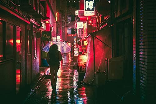 300 Piece Wooden Jigsaw Puzzle - Japan Osaka Night Scene Puzzle for Adults & Kids - Premium Home Decor & Gift Idea for Puzzle Lovers - Perfect for Family Game Night & Stress Relief