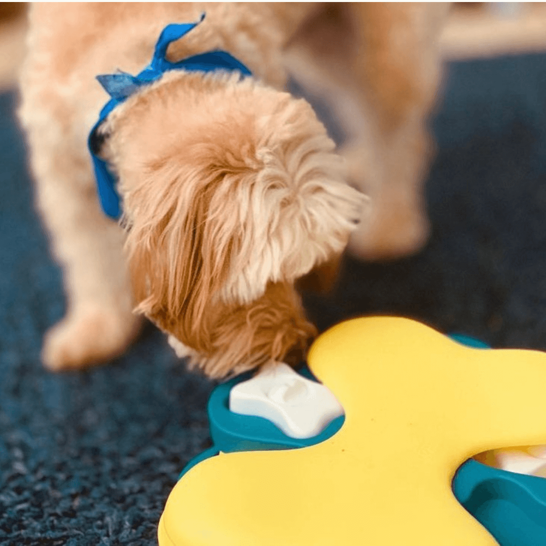 Interactive Dog Puzzle Toy - Level 2 Tornado Challenge for Mental Stimulation - Perfect for Boredom Busters & Smart Dog Training at Home