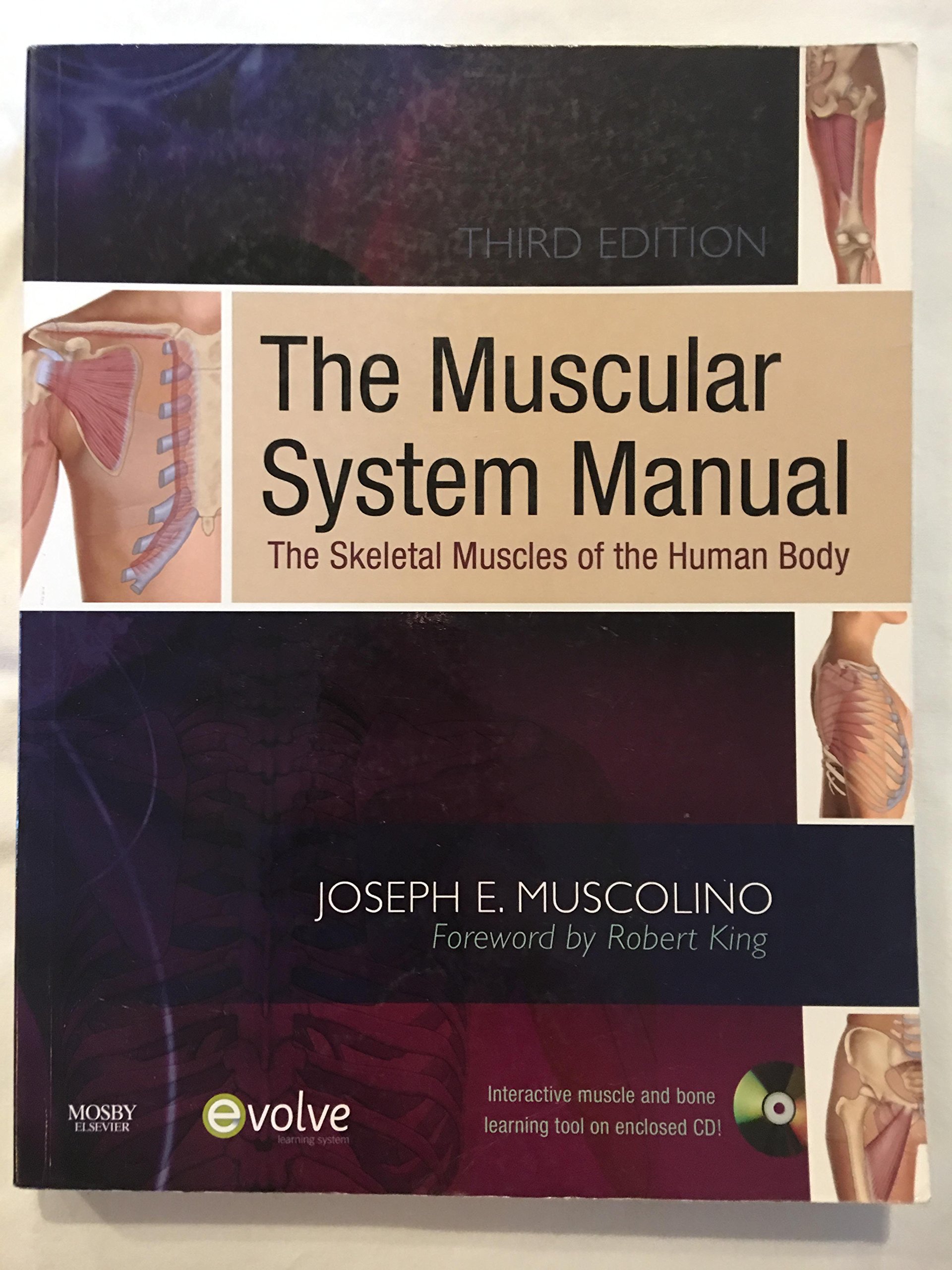 The Muscular System Manual: Anatomy & Functions of Human Skeletal Muscles | Guide for Medical Students, Fitness Trainers & Physical Therapists