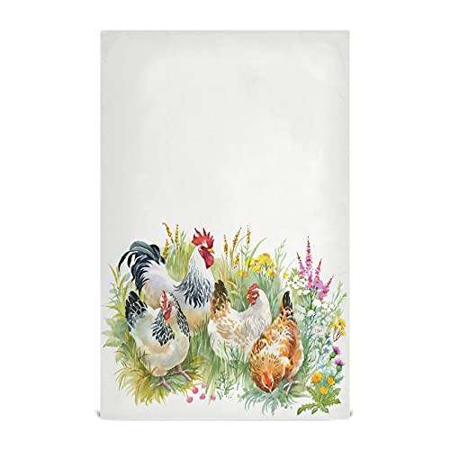 Chickens Hen
