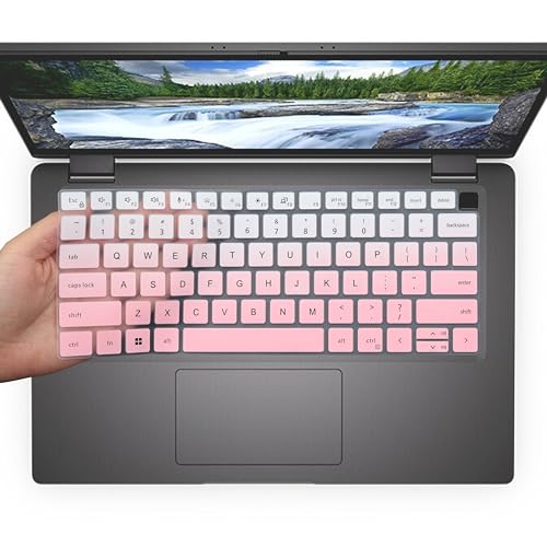 OmbrePink