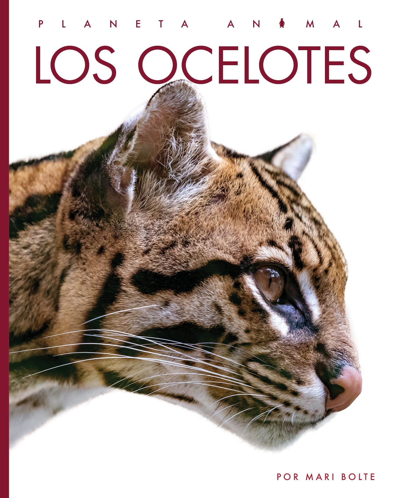 Ocelot Animal Planet 2025 - Wild Cat Facts, Habitat & Conservation - Perfect for Wildlife Enthusiasts & Nature Lovers