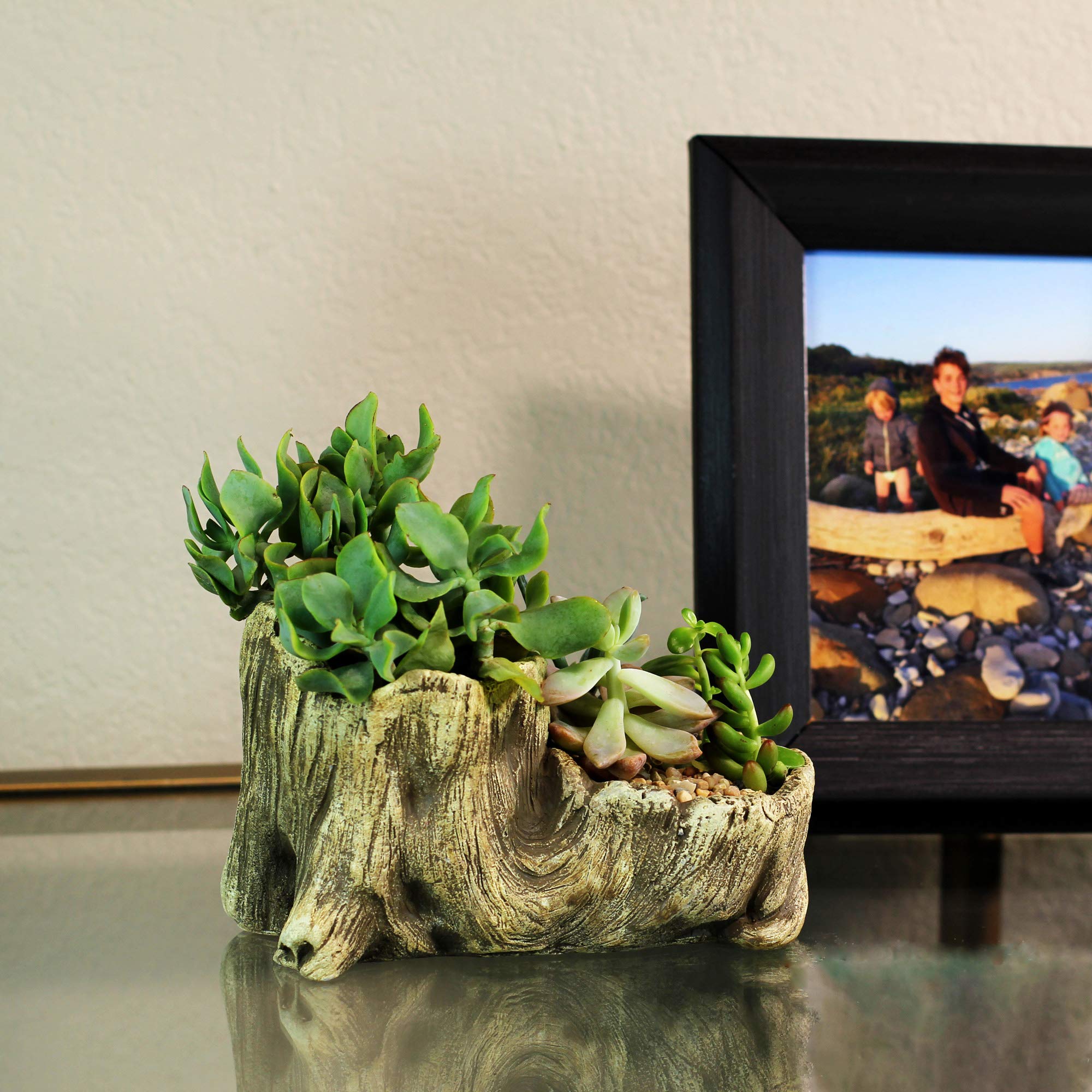 Ceramic Wood Plant Pot - Indoor Wood Planter with Unique Log Design for Succulents, Flowers & Small Plants | Perfect for Home Decor, Office Desk & Gift Giving (Driftwood Boot Style)