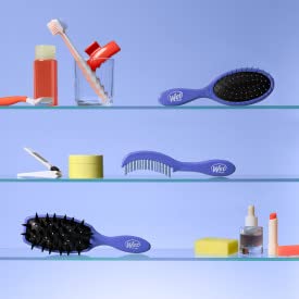 Wet Brush Custom Care Treatment Brush for Detangling Wet & Dry Hair - Purple | Gentle Hairbrush for Smooth & Shiny Hair - Perfect for Home, Travel & Salon Use