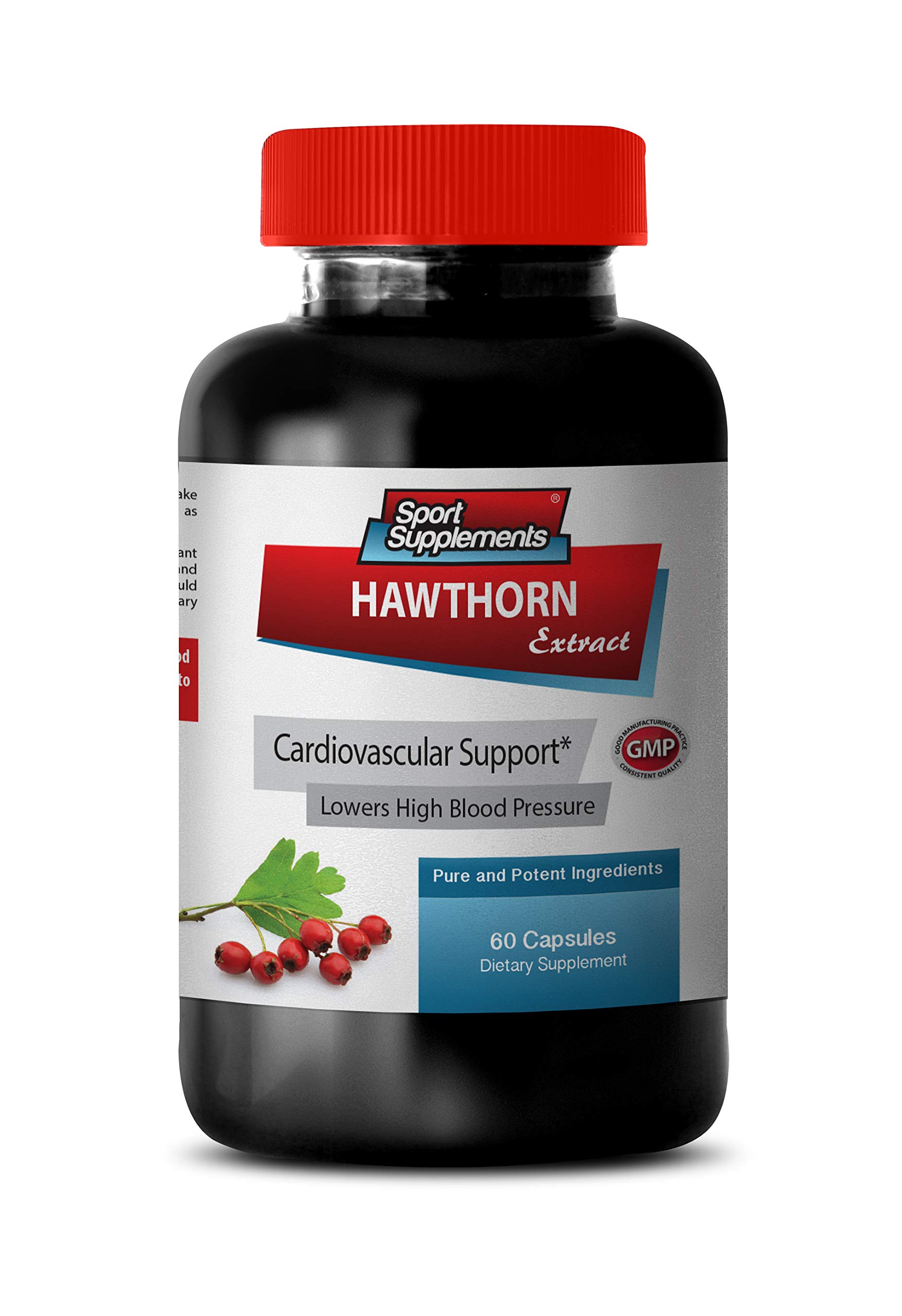 Garlic Extract & Hawthorn Berry Supplement - 360 Capsules (6 Bottles) - Supports Healthy Blood Pressure - Natural Heart Health Support - Perfect for Daily Wellness Routine & Cardiovascular Care