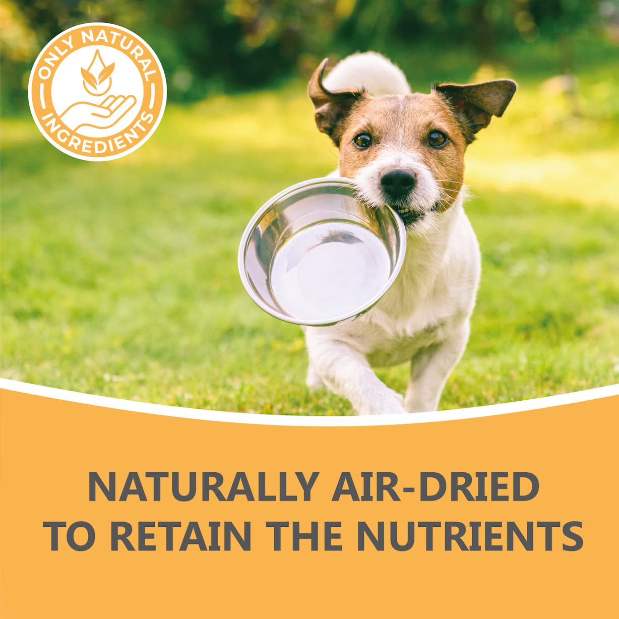 Premium Air-Dried Chicken Feet Dog Treats 1KG - All-Natural Chews for Puppies, Adult & Senior Dogs - Grain-Free, Gluten-Free, Hypoallergenic Raw Snack - Perfect for Dental Health, Training Rewards & Anxiety Relief