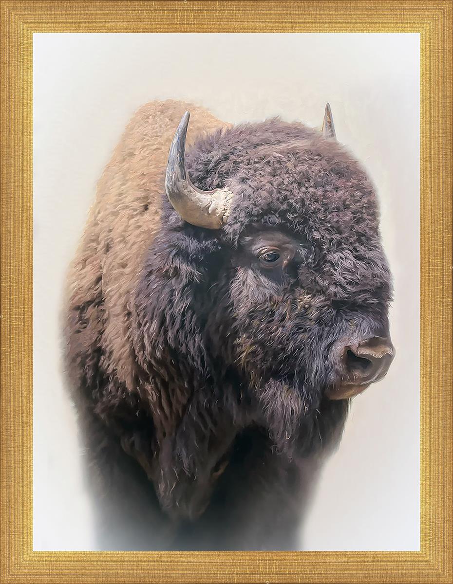 Bison Leather Wallet by Matthew Grant - Premium Handcrafted Genuine Leather Bifold Wallet for Men - Perfect for Everyday Use, Travel & Gifting