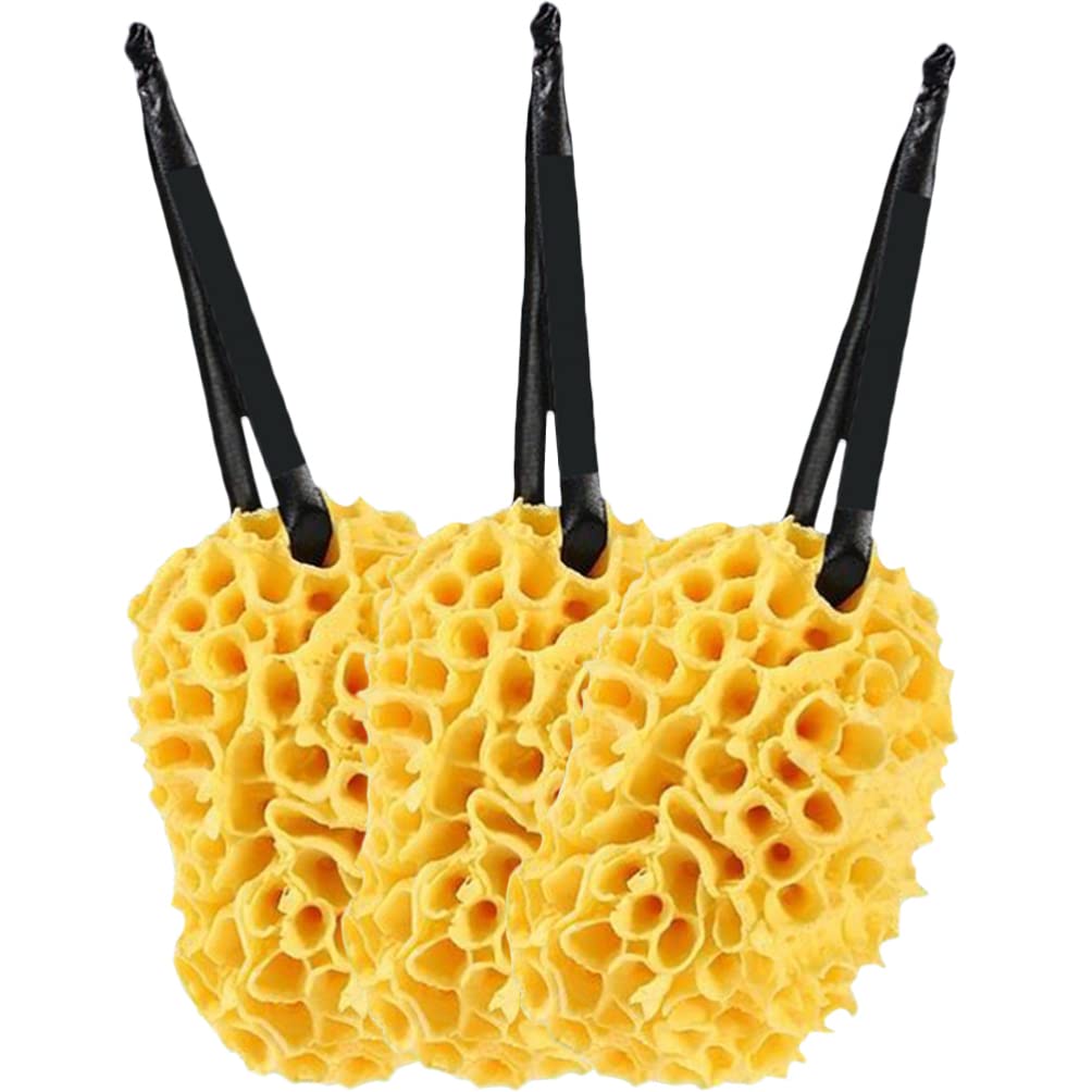 Beavorty 3-Pack Honeycomb Bath Sponge for Exfoliating & Cleansing - Soft PU Shower Loofah for Body Wash, Spa & Baby Care - Gentle Exfoliator for Smooth Skin - Perfect for Daily Shower & Relaxing Bath Time