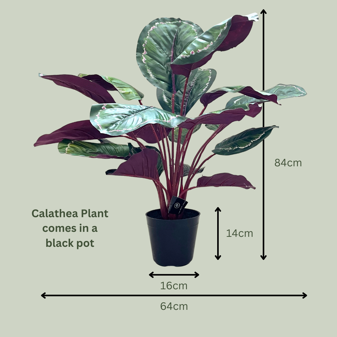Artificial Calathea Plant - Green Burgundy Faux Calathea for Home & Office Decor - Perfect for Living Room, Bedroom, or Workspace