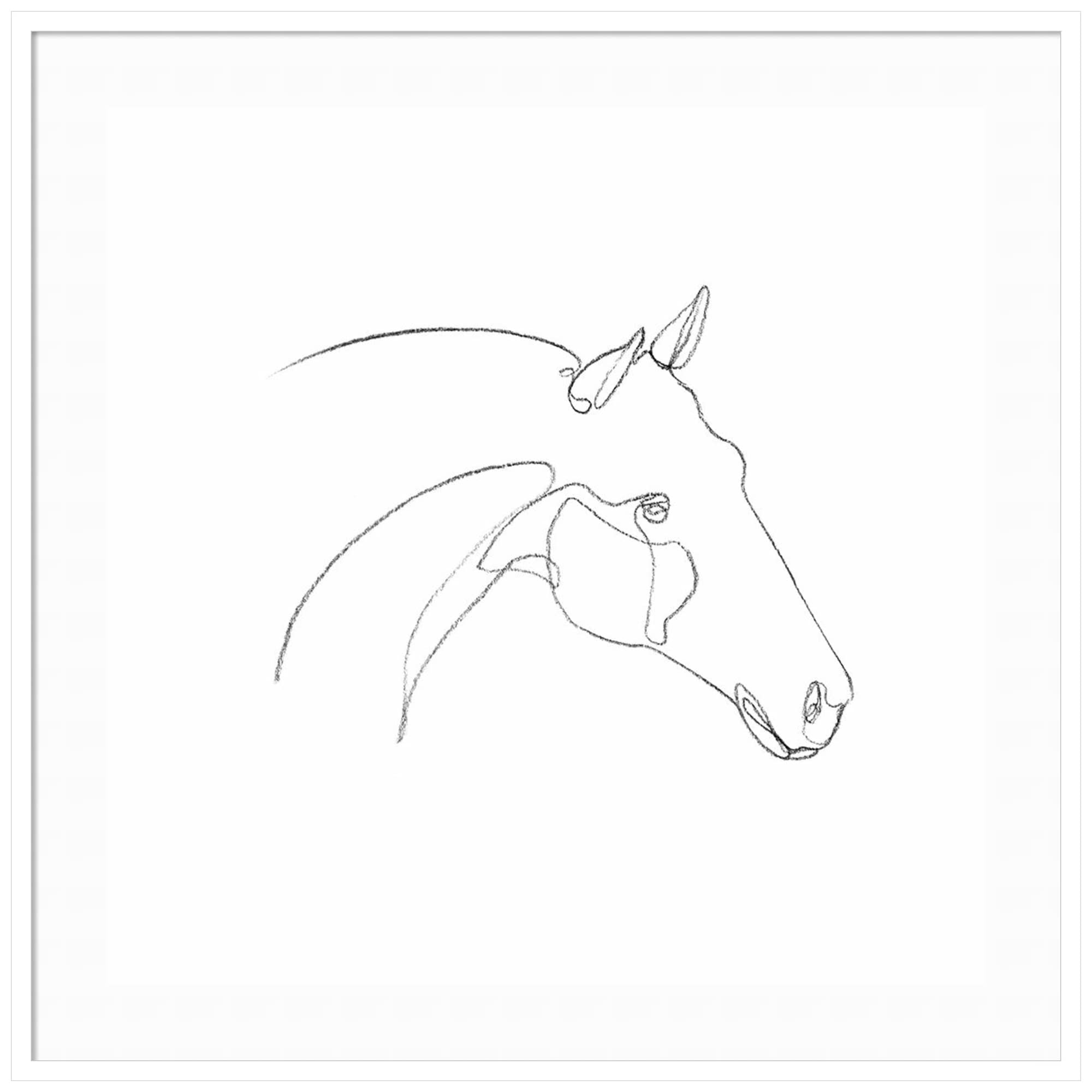 Emma Scarvey Equine Pencil Contour II Framed Wall Art Print - 41x41 Inch Oversized Wood Frame in Svelte White | Horse Lover Gift, Living Room Decor, Office Artwork