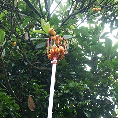 **Melitt Outdoor Deep Basket Garden Tool - Heavy Duty Metal Fruit Picker & Catcher for Harvesting Apples, Peaches, Pears - Perfect for Orchard, Farm, and Home Garden Use**