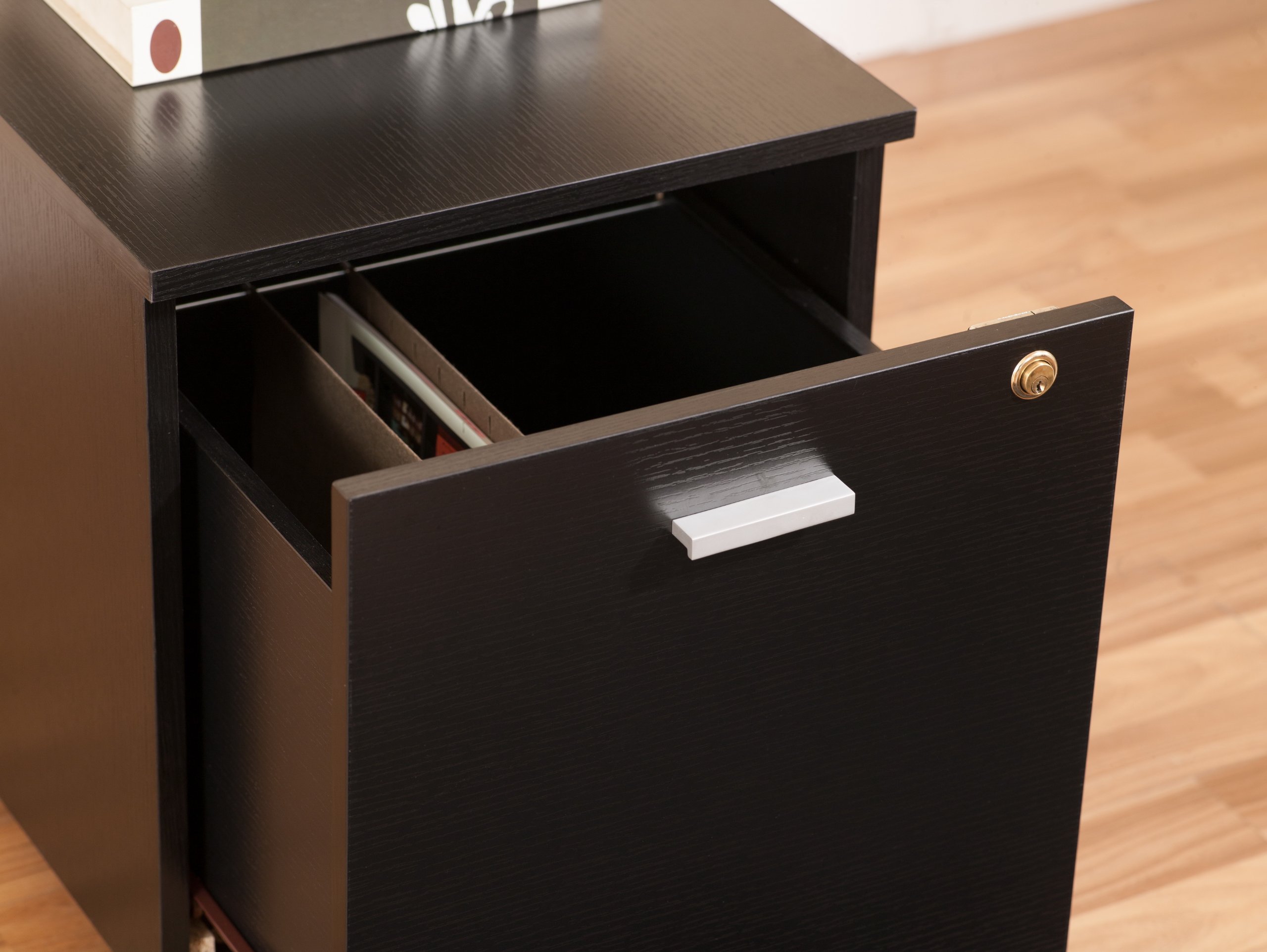 ioHOMES Black 2-Drawer File Cabinet for Office Organization - Heavy Duty Metal Filing Cabinet with Lock, Perfect for Home Office, Business, and School Storage