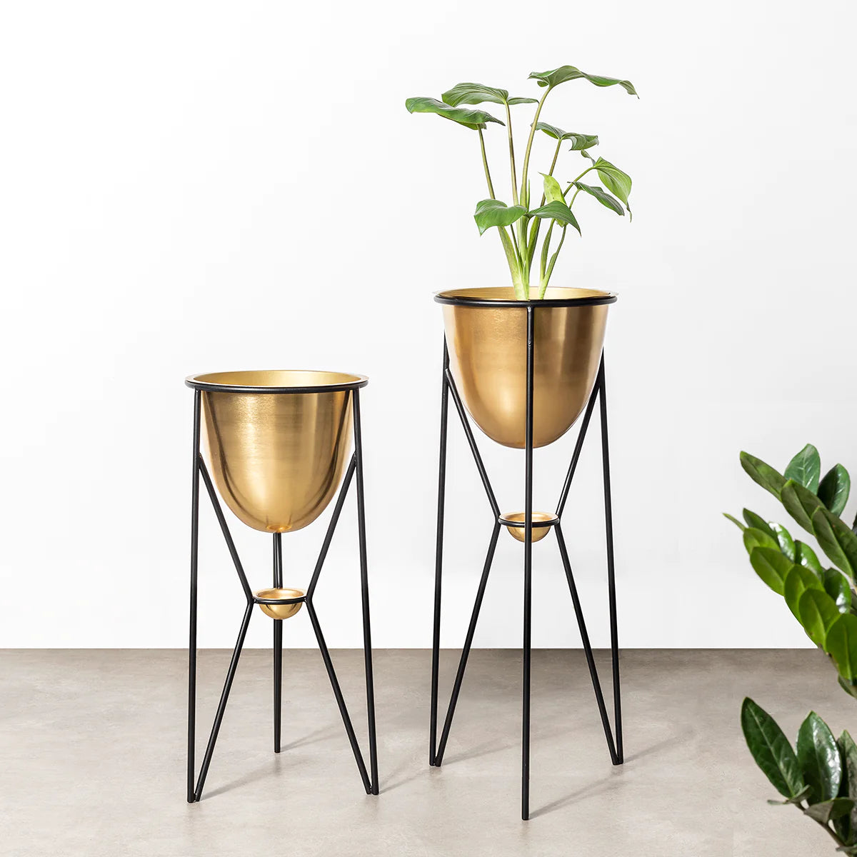 Fiesta Love: Set of 2 Decorative Metal Planters for Indoor & Outdoor Plants - Perfect for Home, Garden, and Patio Decor
