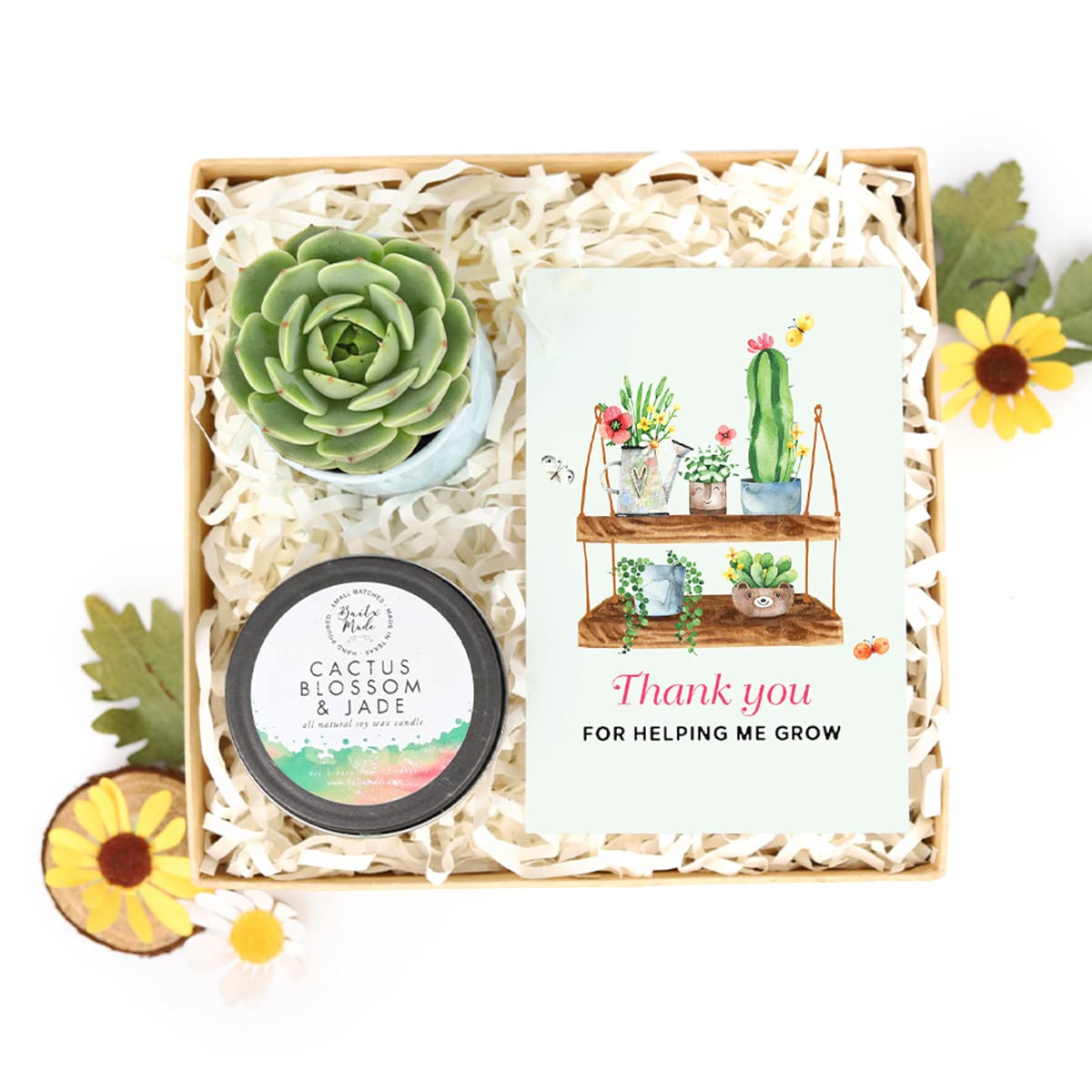 Succulent & Soy Candle Gift Box Set - Perfect Holiday Present for Him/Her - Includes Live Plant & Aromatherapy Candle with Thank You Card - Great for Birthdays, Anniversaries & Housewarming Gifts