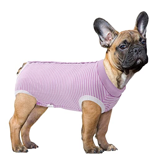 Stripe Purple