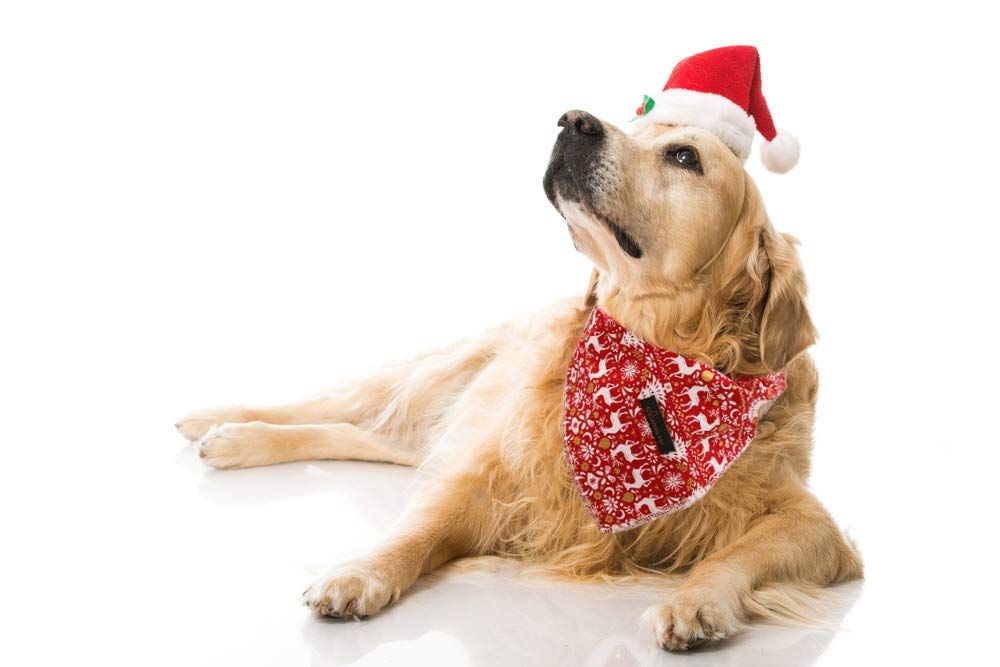 ARING PET Cotton Dog & Cat Bandanas - Adjustable Triangle Bibs Scarf for Small Medium Large Dogs & Cats - Perfect for Holidays, Birthdays & Daily Walks