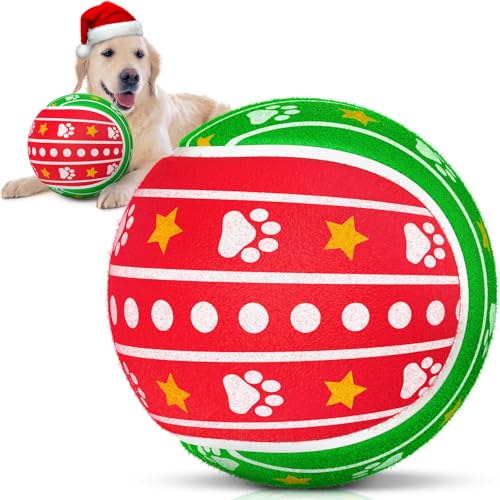 Chritmas Paw