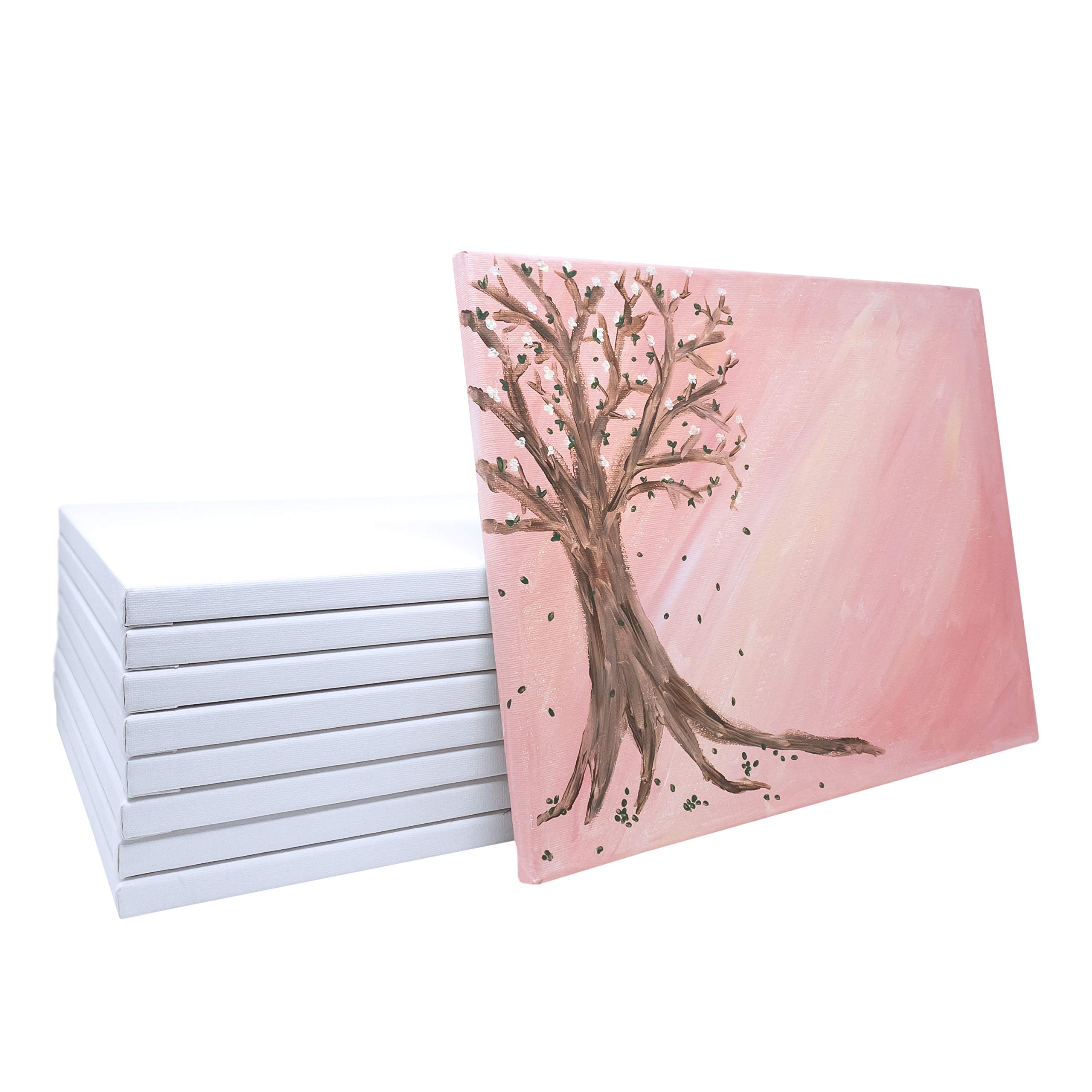 Premium 16x20 Inch Stretched Artist Canvas - Value Pack of 6 | Primed & Ready for Acrylic, Oil & Mixed Media Painting | 100% Cotton with Pine Wood Frame | Perfect for Studio Art, Classroom Projects & DIY Home Decor