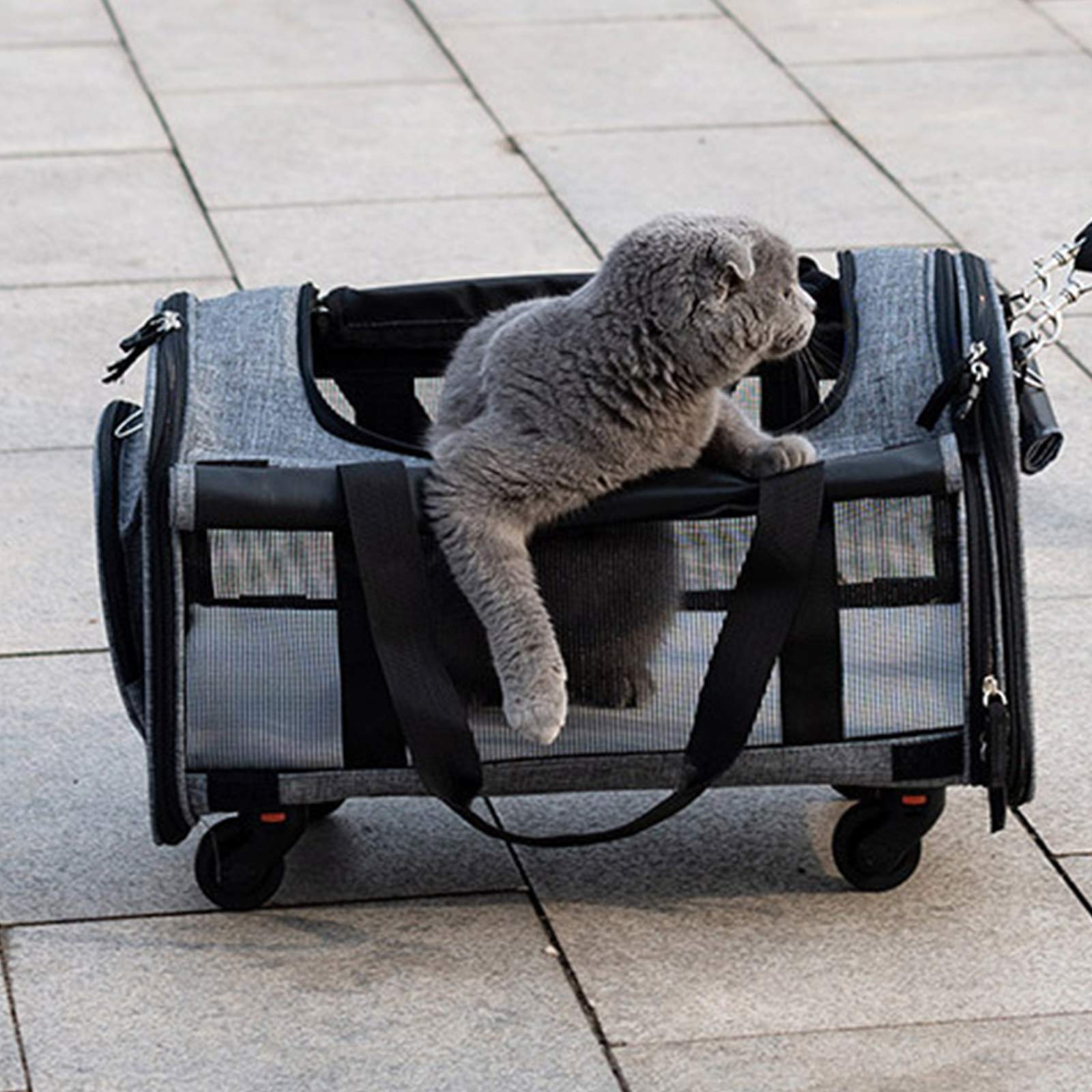 Airline Approved Pet Carrier with Removable Wheels - Soft Sided Rolling Travel Carrier for Small Dogs & Cats Up to 20 lbs | Perfect for Air Travel, Vet Visits & Daily Outings