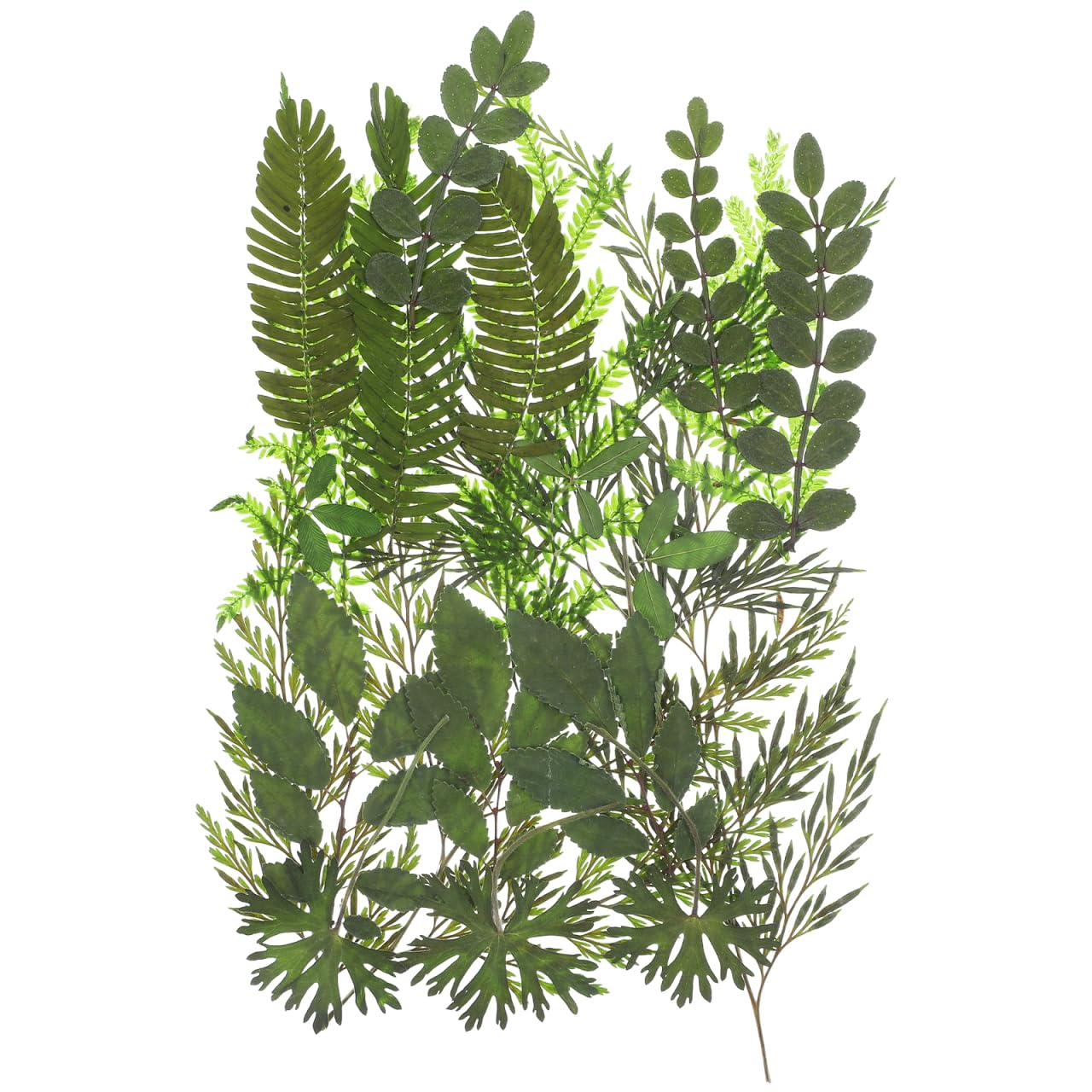Artibetter Real Dried Pressed Leaves - 7 Natural Botanical Specimens for DIY Crafts, Candle Making, Scrapbooking, Wedding Invitations & Home Decor - Perfect for Nature-Inspired Art Projects (Style 1)