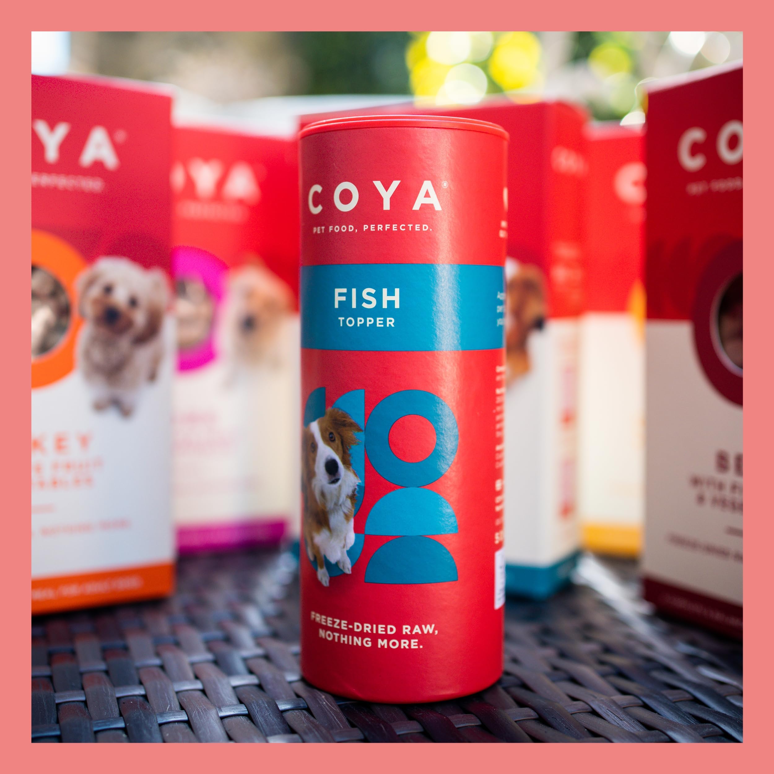 COYA Freeze-Dried Raw Dog Food Topper - Hypoallergenic Grain-Free Fish Recipe (50g) | 97.5% Fish with Added Vitamins & Minerals | Easy Raw Nutrition for Dogs | Perfect for Picky Eaters & Sensitive Stomachs | Great for Topping Kibble or Mixing with Wet Food