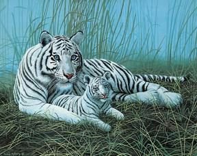 1000pc White Tigers Mist Jigsaw Puzzle - Home Decor & Gifts