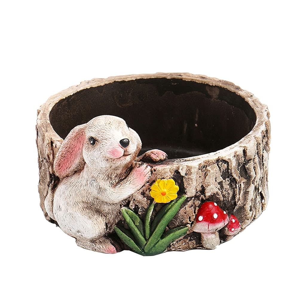 Decorative Flower Pots for Home & Office - Small Low Plant Pots for Living Room, Bedroom, Study, Restaurant & Desktop Decor (Size D) | Perfect for Indoor Plants, Succulents & Home Décor