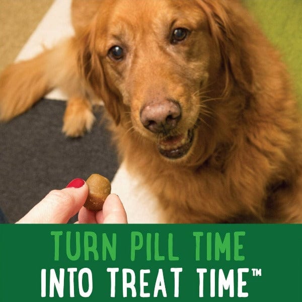Greenies Pill Pockets Peanut Butter Flavor Dog Treats - Hide Medication Easily for Picky Eaters | Perfect for Daily Medication Routine & Vet Visits