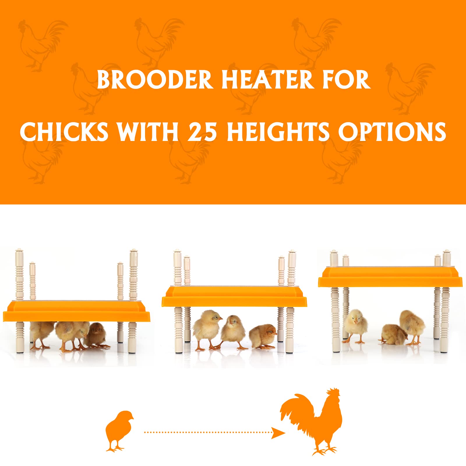 Brooder Heater for Chicks - Adjustable 10