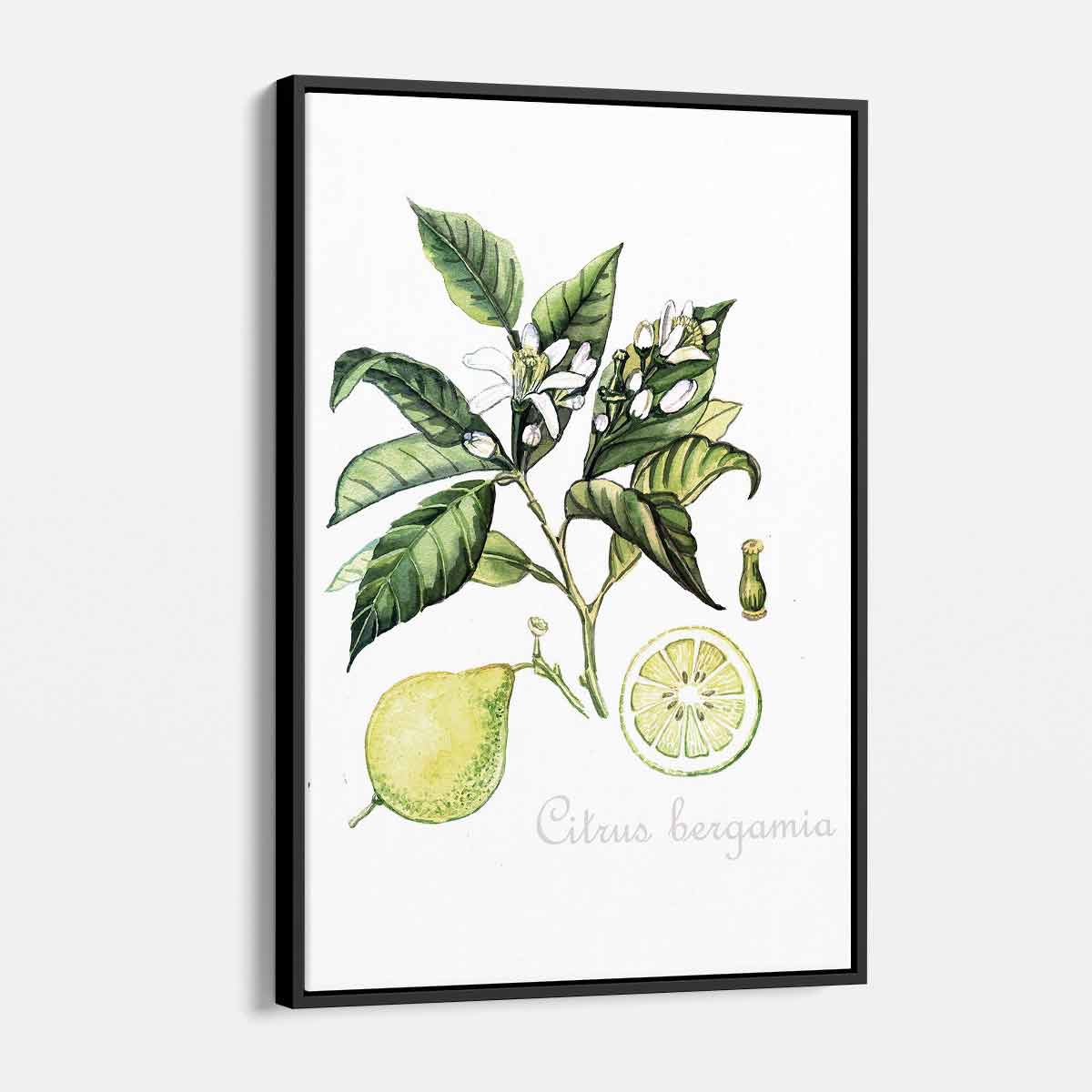 Green Citrus Wall Art Canvas Print - Modern Home Decor for Living Room, Bedroom & Office - 5643
