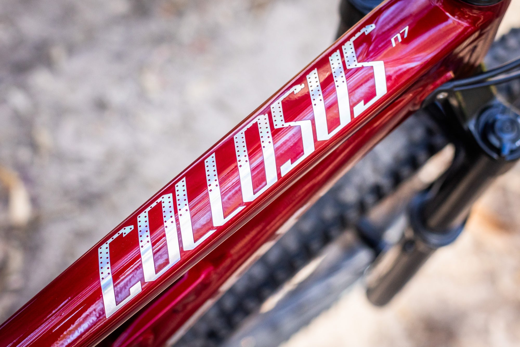 Polygon Collosus N7 Mountain Bike - 29