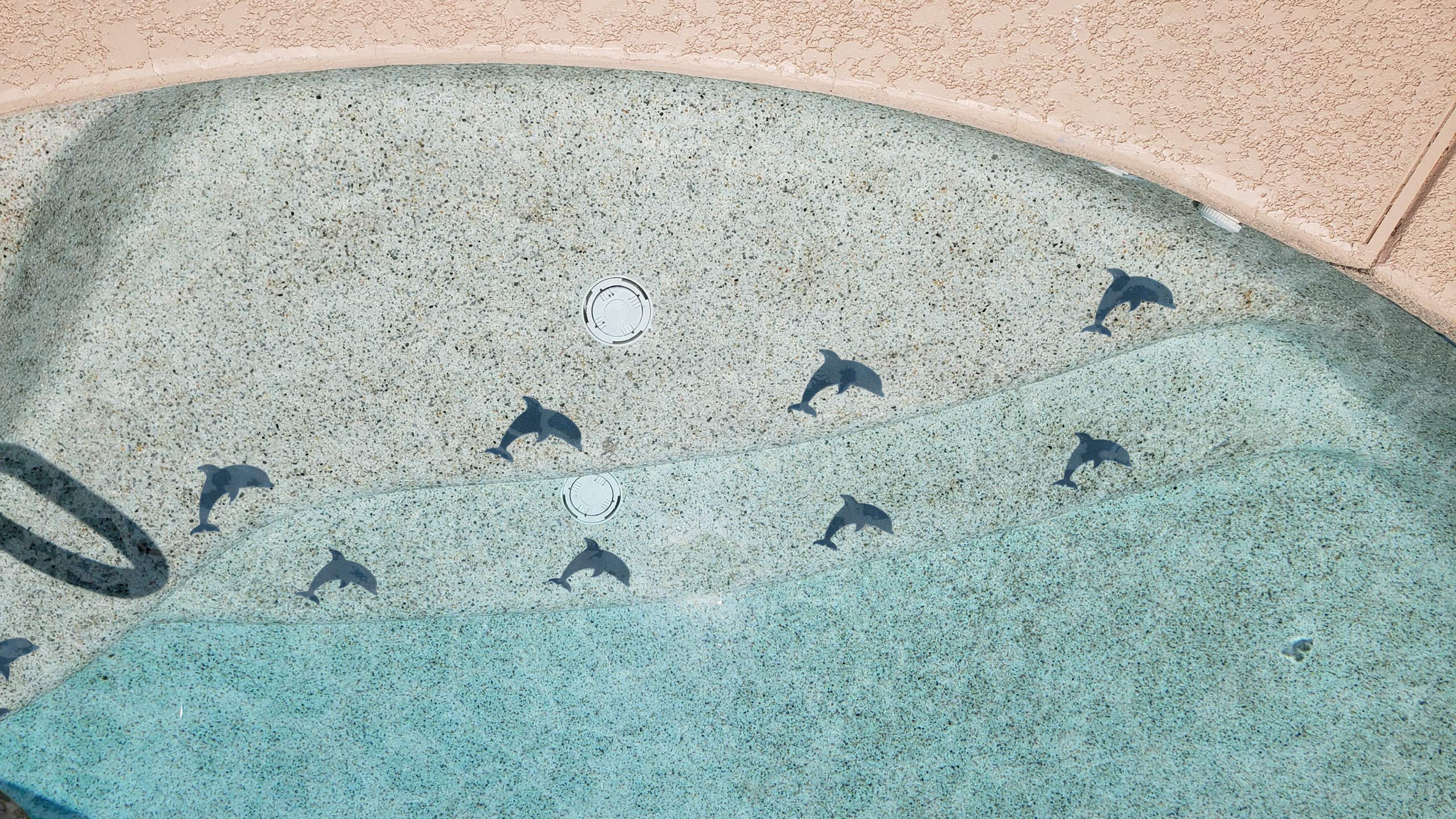 Black Glitter Dolphin Step Marker Mosaic Tiles for Swimming Pools – 4.5