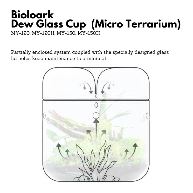 BIOLOARK Dew Glass Cup (Micro Terrarium) MY Series - Elegant Mini Glass Planter for Succulents & Air Plants | Perfect for Home Decor, Office Desk & Gift Ideas