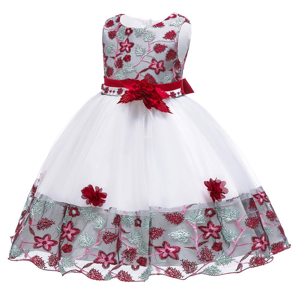 Girls' Embroidered Lace Princess Wedding & Baptism Dress - Long Sleeve Formal Party Gown for Toddler Baby Girl - Perfect for Christening, First Communion & Special Occasions