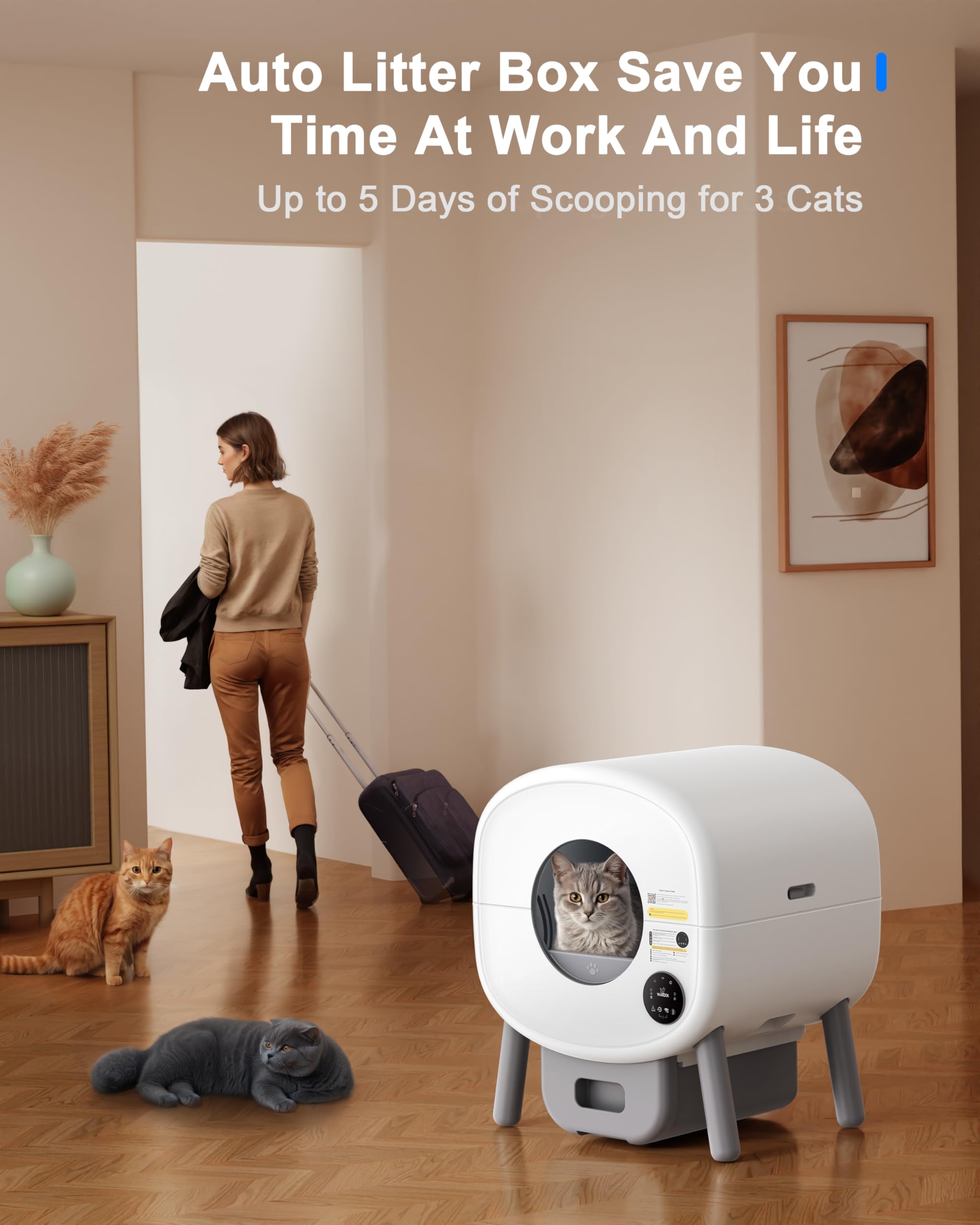 Self Cleaning Cat Litter Box - 65L Automatic Smart Litter Box for Multiple Cats with APP Control, Odor-Free & Low Noise - Perfect for Home, Office & Travel Use