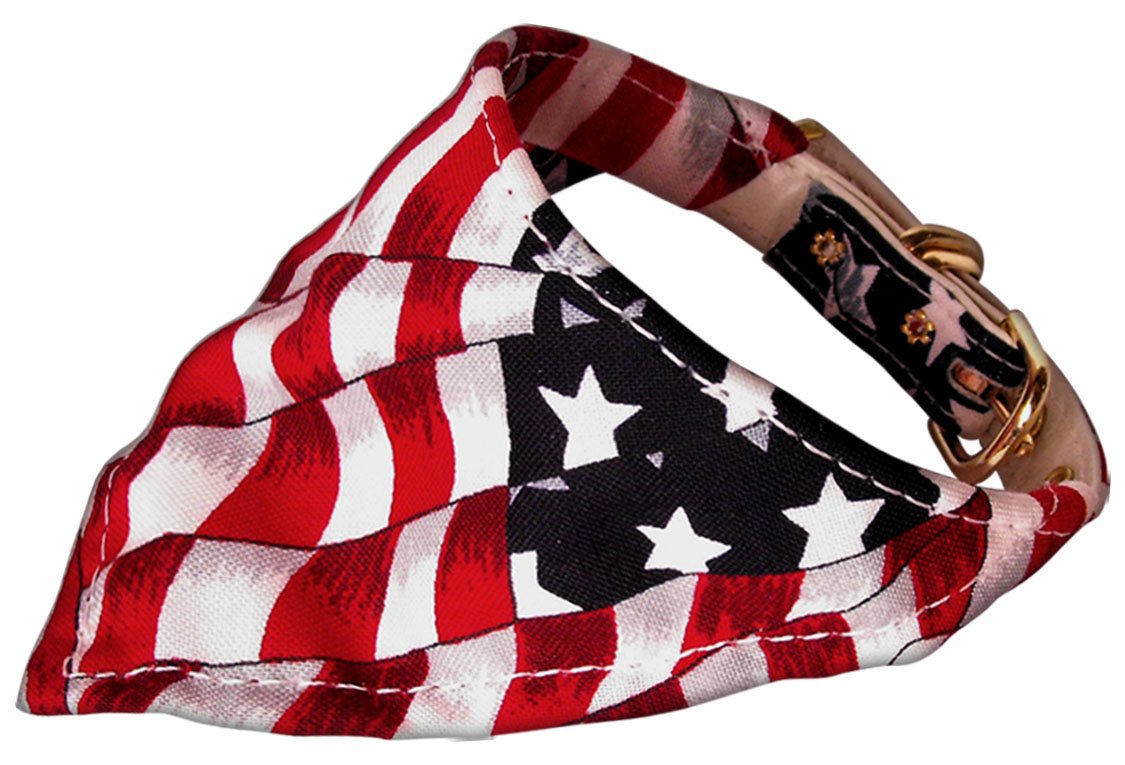 America The Beautiful