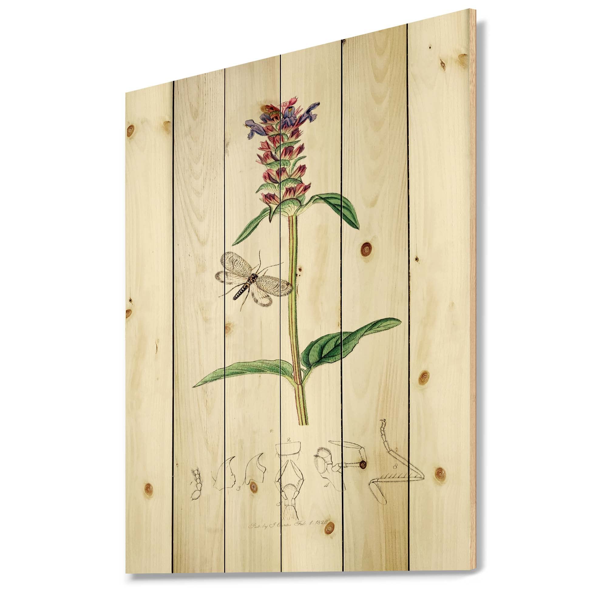 Vintage Insects and Plants Farmhouse Wood Wall Decor - Large Floral Wood Wall Art Panels Printed on Natural Pine - Perfect for Living Room, Bedroom, and Home Office Decor