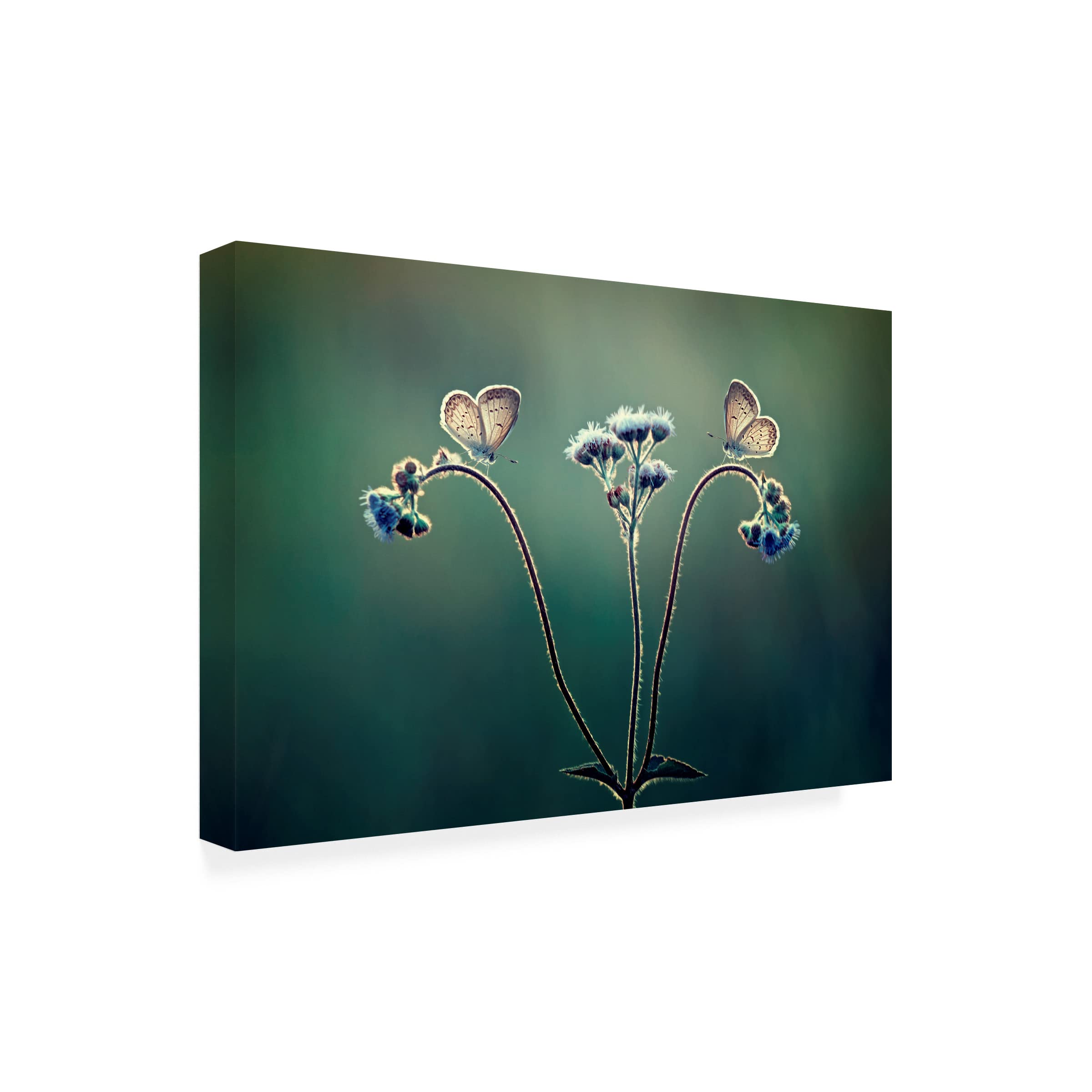 Trademark Fine Art 'Keindahan Pagi' Canvas Wall Art by Adi Isna Maulana - Stunning Indonesian Landscape Painting for Living Room, Bedroom & Office Decor