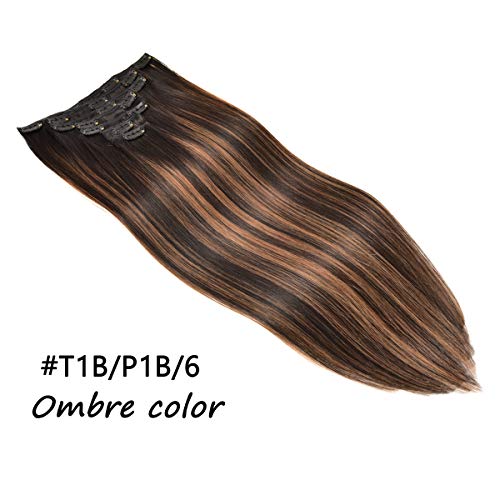 Natural black to Chestnut Brown