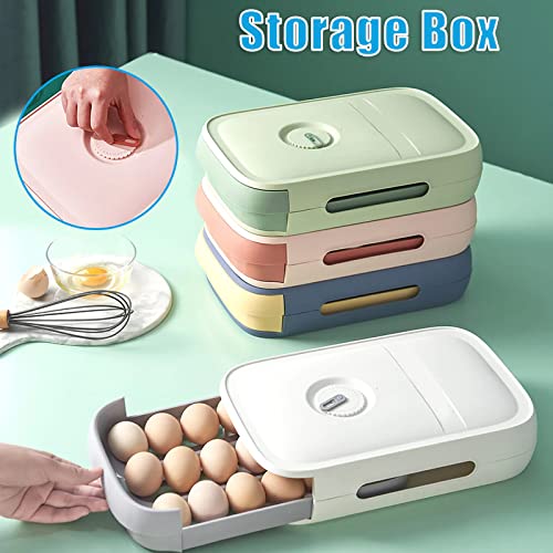 Plastic Egg Storage Box with Lid - Kitchen & Fridge Organizer for Eggs (White)
