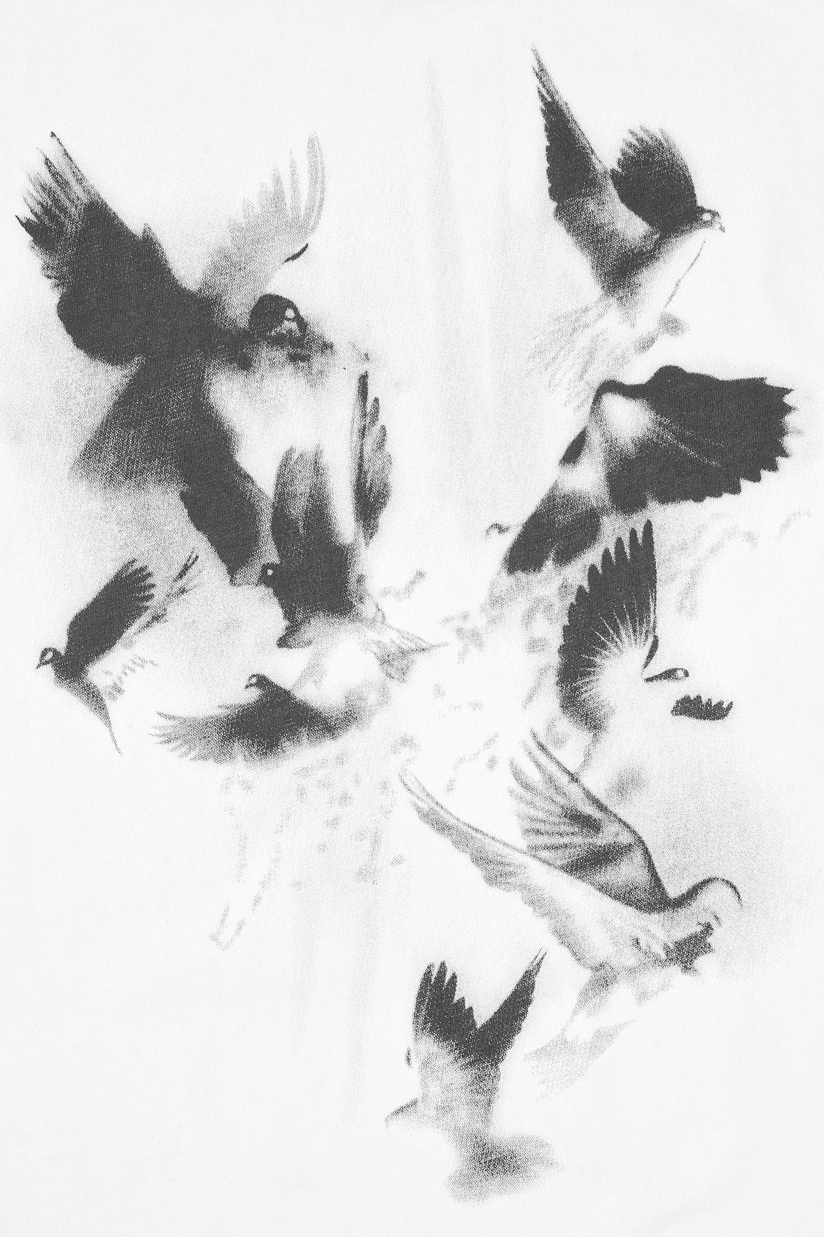 COLIN Oversized Short Sleeve T-Shirt with White Doves Print | Casual Streetwear for Men | Perfect for Summer Outfits and Everyday Wear