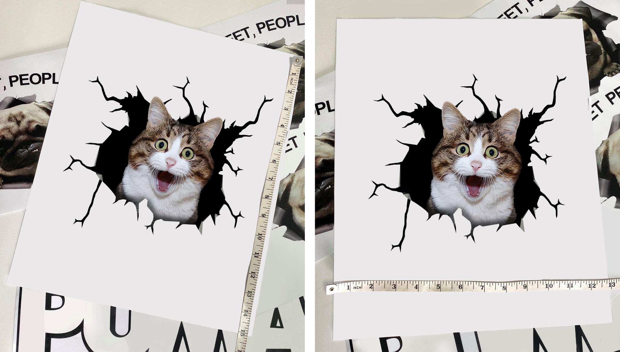 Funny Cat Car Decals - Pack of 2 Vinyl Stickers for Car Windows & Walls (10