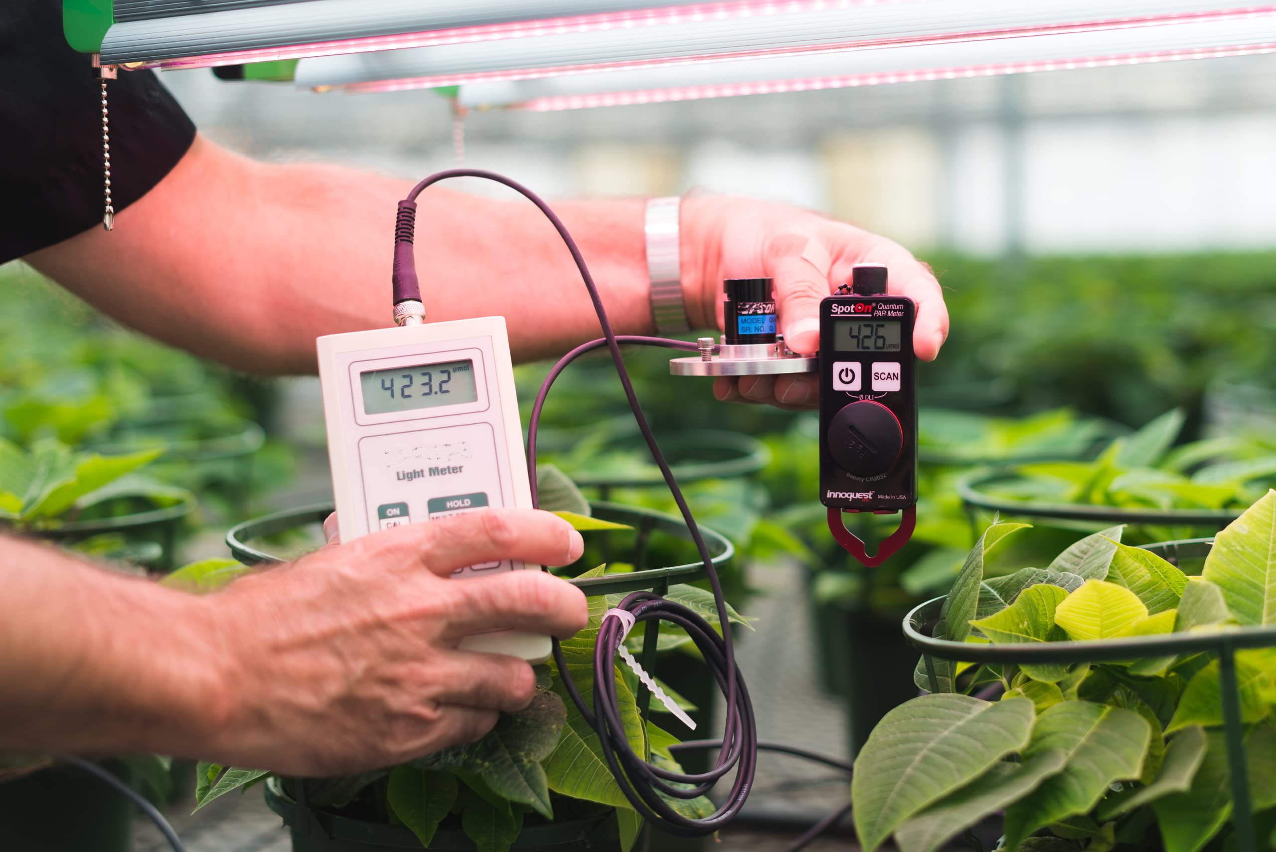 Professional SpotOn Quantum PAR Meter - High Accuracy Grow Light Tester with DLI Mode | IP65 Waterproof for Indoor, Outdoor, Greenhouse & Aquarium Plants | Perfect for Hydroponics, Cannabis Cultivation & Horticulture Lighting Measurement